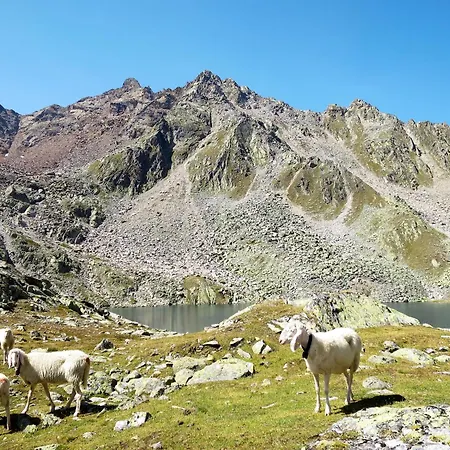 Appartement Alpin-8 By Interhome Sölden